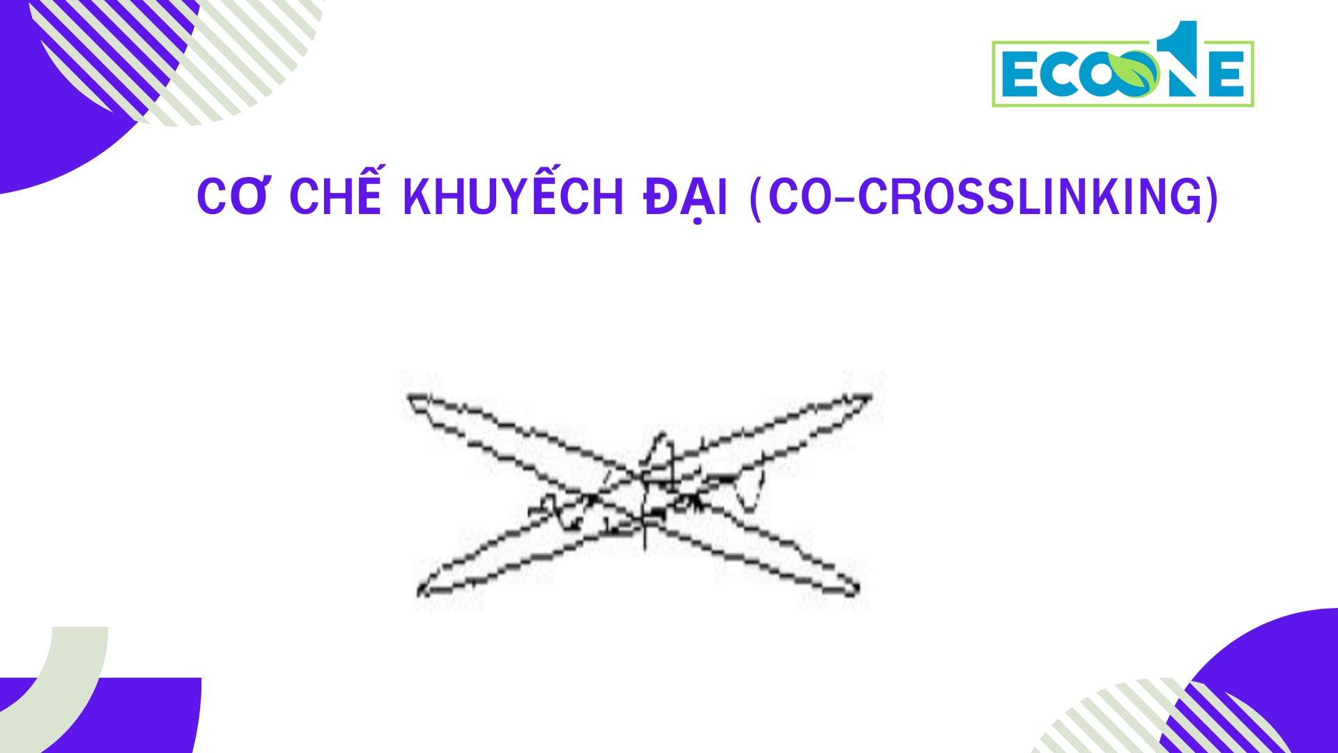 Co-che-khuyech-dai-co-crosslinking-cua-chat-tang-ben